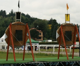 Targets in the field 